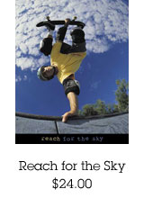 Reach for the Sky Poster